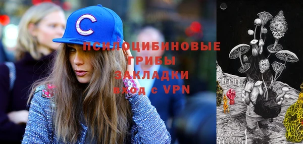 МДПВ Заводоуковск